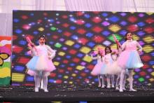 Annual Function 2026